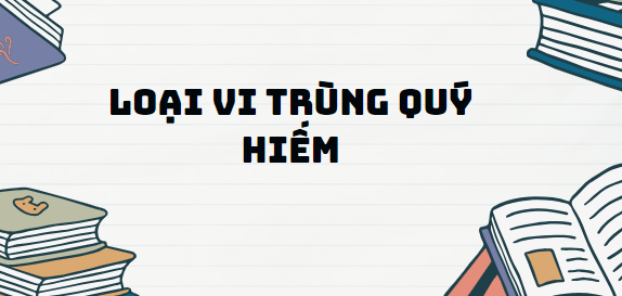 Văn bản Loại vi trùng quý hiếm - Nội dung, Tác giả tác phẩm