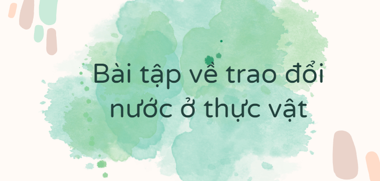 30 Bài tập về trao đổi nước ở thực vật (2024) có đáp án chi tiết nhất