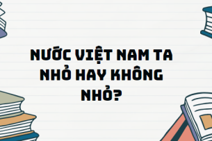 Văn bản Nước Việt Nam ta nhỏ hay không nhỏ? - Nội dung, Tác giả tác phẩm