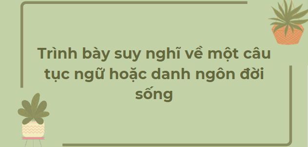 TOP 12 Bài văn Trình bày suy nghĩ về một câu tục ngữ hoặc danh ngôn đời sống (2024) HAY NHẤT