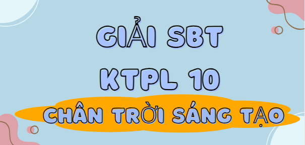 Sách bài tập KTPL 10 (Chân trời sáng tạo) Bài 13: Đặc điểm, nguyên tắc tổ chức và hoạt động của bộ máy nhà nước Cộng hòa xã hội chủ nghĩa Việt Nam | SBT Kinh tế Pháp luật 10 Chân trời sáng tạo