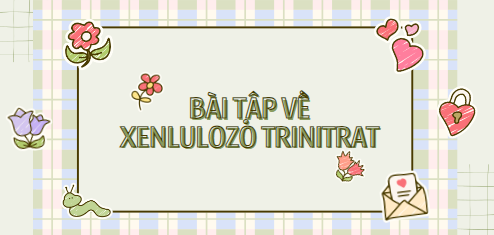 30 Bài tập về xenlulozơ trinitrat (2024) có đáp án