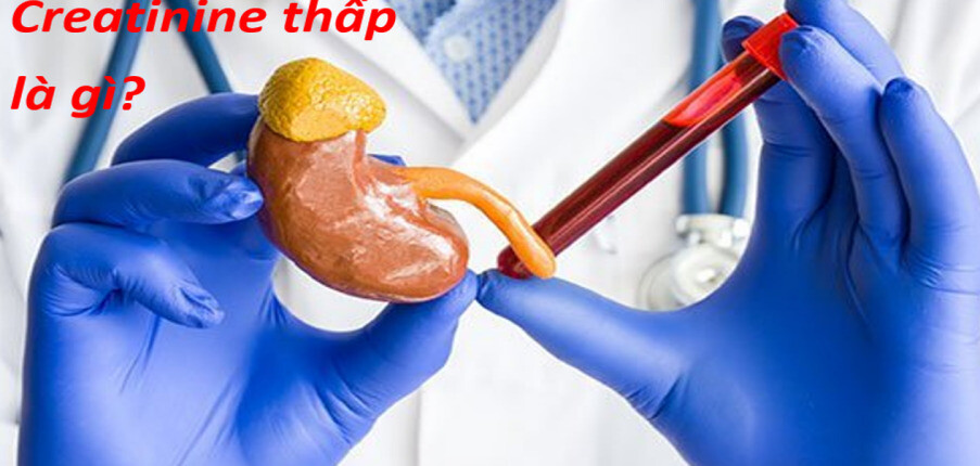 Creatinine thấp: Nguyên nhân, triệu chứng và biện pháp điều trị