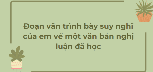 TOP 10 Đoạn văn trình bày suy nghĩ của em về một văn bản nghị luận đã học (2024) HAY NHẤT