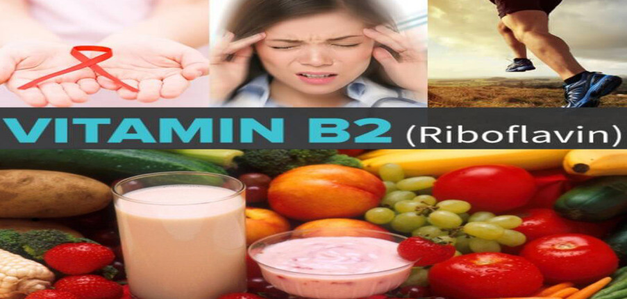 Vitamin B2: Vai trò, nguồn cung cấp và tình trạng thiếu hụt