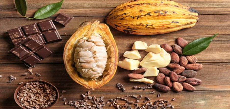 Cacao: Giá trị dinh dưỡng và lợi ích sức khỏe