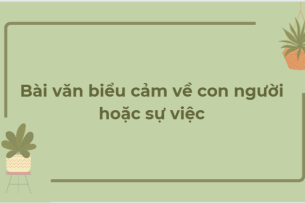 TOP 27 Bài văn biểu cảm về con người hoặc sự việc (2024) HAY NHẤT