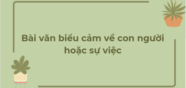 TOP 27 Bài văn biểu cảm về con người hoặc sự việc (2024) HAY NHẤT