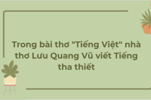 TOP 10 Bài văn Trong bài thơ "Tiếng Việt" nhà thơ Lưu Quang Vũ viết Tiếng tha thiết (2024) HAY NHẤT