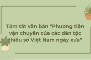TOP 10 bài văn Tóm tắt văn bản "Phương tiện vận chuyển của các dân tộc thiểu số Việt Nam ngày xưa" (2024) HAY NHẤT