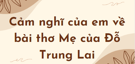 TOP 10 Đoạn văn nêu cảm nghĩ của em về bài thơ Mẹ của Đỗ Trung Lai (2024) SIÊU HAY