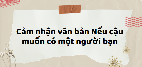 TOP 10 Đoạn văn Cảm nhận văn bản Nếu cậu muốn có một người bạn (2024) HAY NHẤT