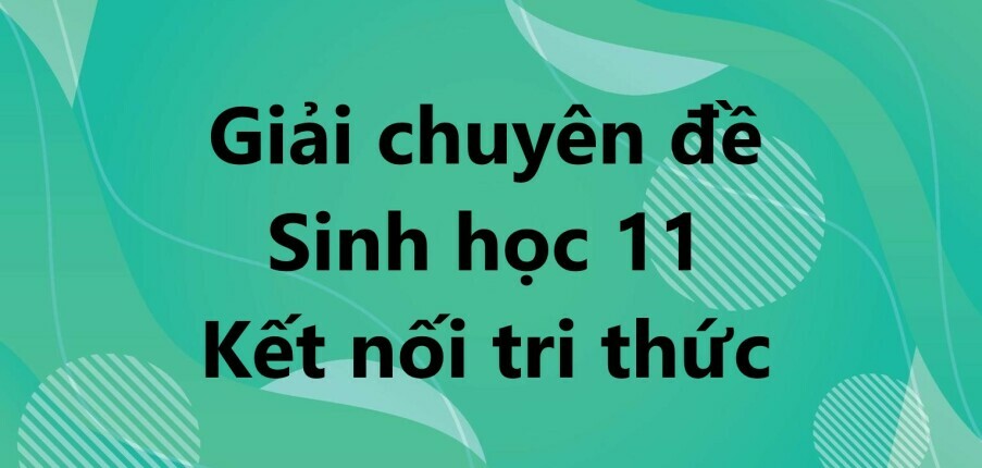 Giải Chuyên đề Sinh học 11 Bài 3 (Kết nối tri thức): Dự án: Điều tra tình hình sử dụng phân bón tại địa phương hoặc thực hành trồng cây với các kĩ thuật bón phân phù hợp