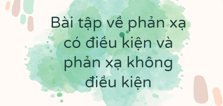 30 Bài tập về phản xạ có điều kiện và phản xạ không điều kiện (2024) có đáp án chi tiết nhất