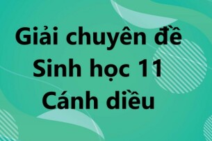 Giải Chuyên đề Sinh học 11 Bài Ôn tập chuyên đề 1 (Cánh diều)