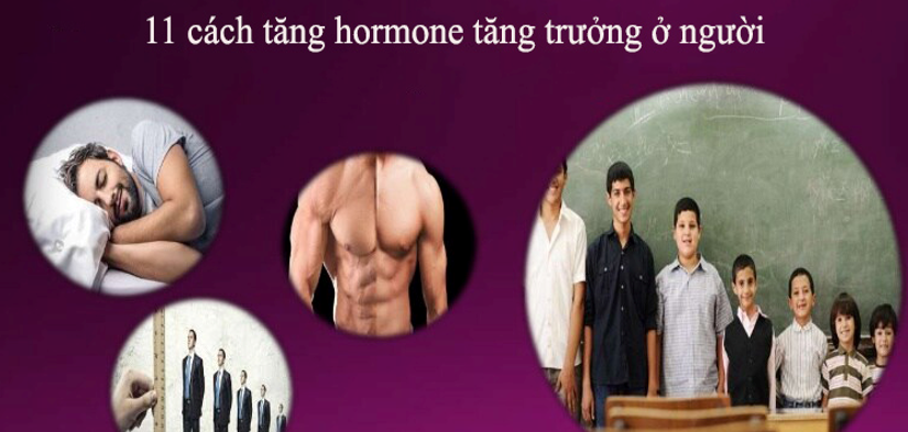 11 cách tăng hormone tăng trưởng (HGH) ở người một cách tự nhiên