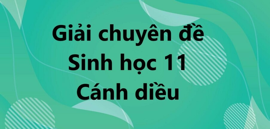 Giải Chuyên đề Sinh học 11 Bài 5 (Cánh diều): Nguyên nhân lây nhiễm bệnh dịch ở người