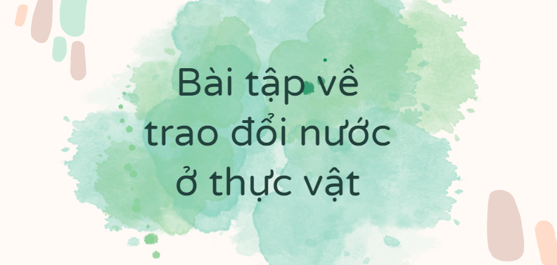 30 Bài tập về trao đổi nước và khoáng ở thực vật (2024) có đáp án chi tiết nhất