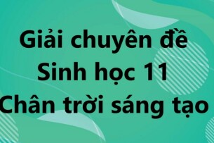 Giải Chuyên đề Sinh học 11 Bài 9 (Chân trời sáng tạo): Dự án: Điều tra một số dịch bệnh phổ biến ở người và tuyên truyền phòng chống