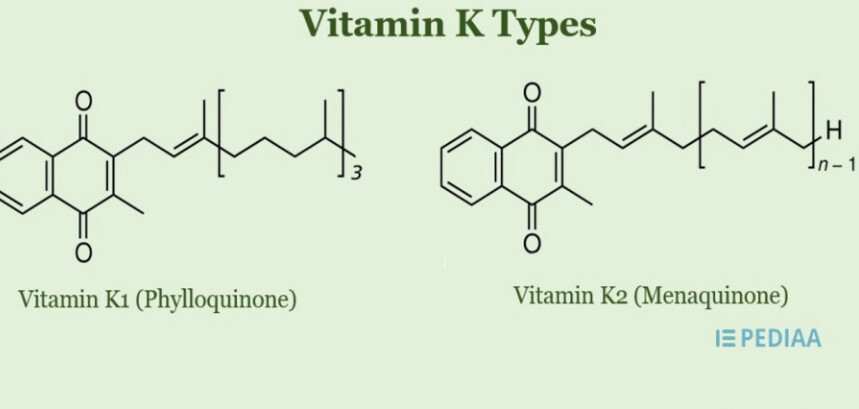 Vitamin K1 và K2: Sự khác biệt là gì?