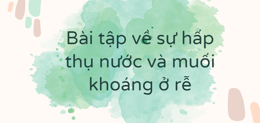 30 Bài tập về sự hấp thụ nước và muối khoáng ở rễ (2024) có đáp án chi tiết nhất