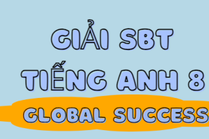 Giải SBT Tiếng Anh 8 Unit 12 Vocabulary & Grammar trang 95, 96, 97 - Global Success