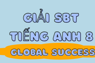 Giải SBT Tiếng Anh 8 Unit 12 Reading trang 99, 100 - Global Success