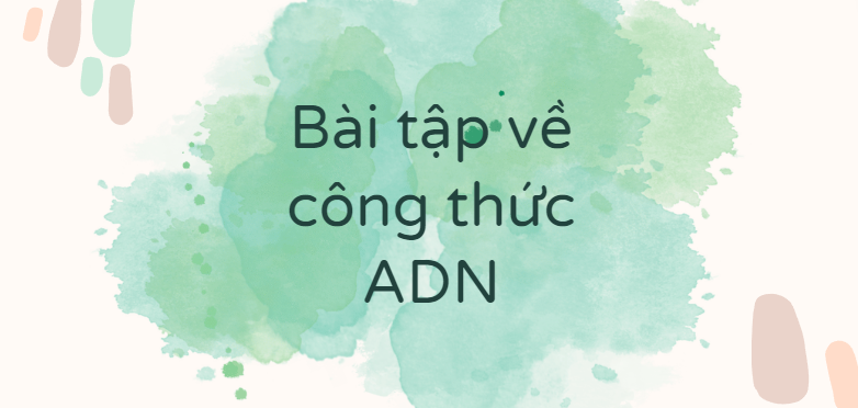 30 Bài tập về công thức ADN (2024) có đáp án chi tiết nhất