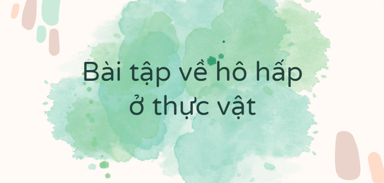 30 Bài tập về hô hấp ở thực vật (2024) có đáp án chi tiết nhất