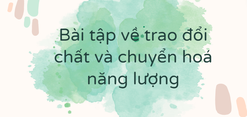 30 Bài tập về trao đổi chất và chuyển hoá năng lượng (2024) có đáp án chi tiết nhất