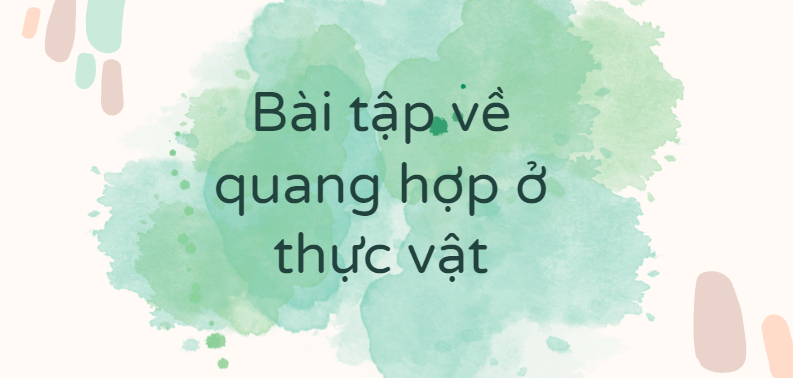 30 Bài tập về quang hợp ở thực vật (2024) có đáp án chi tiết nhất