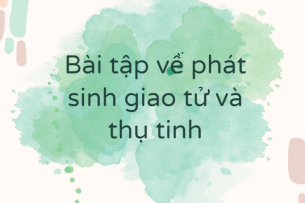 30 Bài tập về phát sinh giao tử và thụ tinh (2024) có đáp án chi tiết nhất