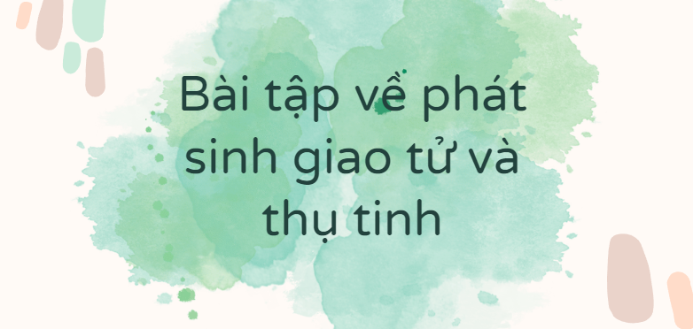 30 Bài tập về phát sinh giao tử và thụ tinh (2024) có đáp án chi tiết nhất