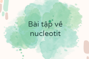 30 Bài tập về nucleotit (2024) có đáp án chi tiết nhất