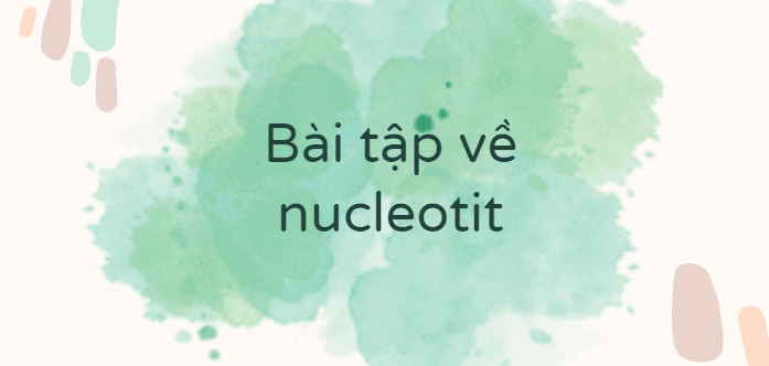 30 Bài tập về nucleotit (2024) có đáp án chi tiết nhất