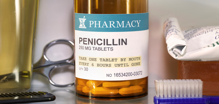 Kháng sinh Penicillin hoạt động như thế nào?