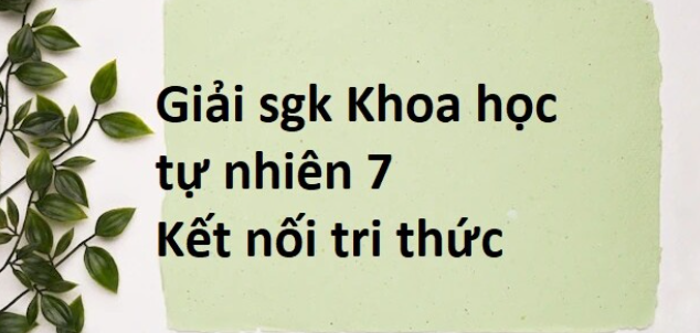 Giải SGK Khoa học tự nhiên 7 Bài 5 (Kết nối tri thức): Phân tử - Đơn chất – Hợp chất