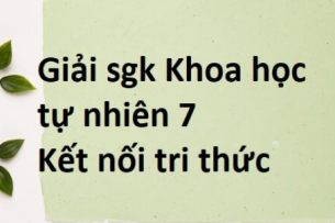 Giải SGK Khoa học tự nhiên 7 Bài 10 (Kết nối tri thức): Đồ thị quãng đường - thời gian