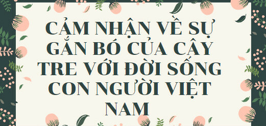 TOP 15 mẫu Cảm nhận về sự gắn bó của cây tre với đời sống con người Việt Nam (2024) HAY NHẤT