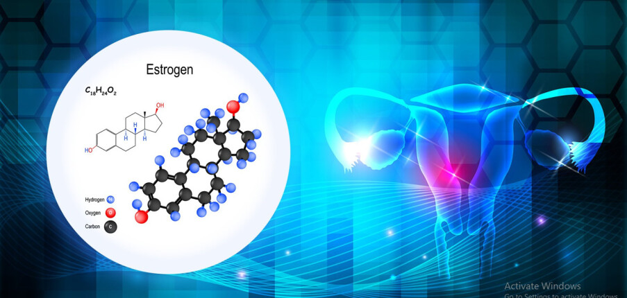 Những điều cần biết về estrogen: Chức năng, sự mất cân bằng và bổ sung