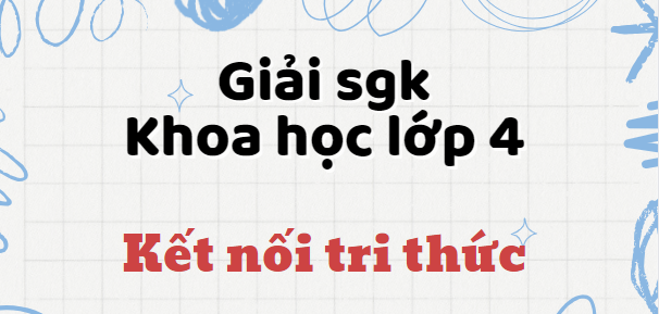 Khoa học lớp 4 Kết nối tri thức | Giải bài tập Khoa học lớp 4 hay, chi tiết