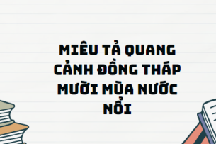 TOP 11 Đoạn văn Miêu tả quang cảnh Đồng Tháp Mười mùa nước nổi (2024) SIÊU HAY