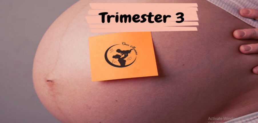 6 xét nghiệm cần thiết trong ba tháng cuối thai kỳ