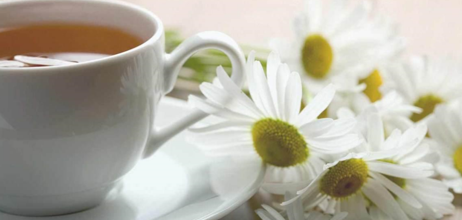 Uống trà hoa cúc khi mang thai: Có an toàn không?