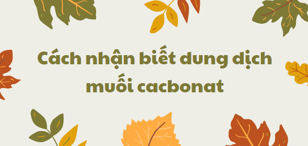 Cách nhận biết dung dịch muối cacbonat chi tiết nhất