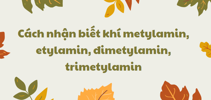 Cách nhận biết khí metylamin, etylamin, đimetylamin, trimetylamin chi tiết nhất