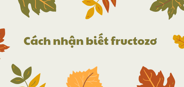 Cách nhận biết fructozơ chi tiết nhất