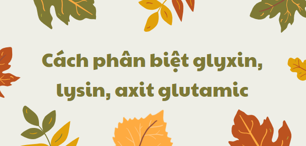 Cách phân biệt glyxin, lysin, axit glutamic chi tiết nhất