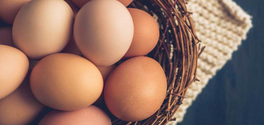10 lợi ích sức khỏe hàng đầu của việc ăn trứng