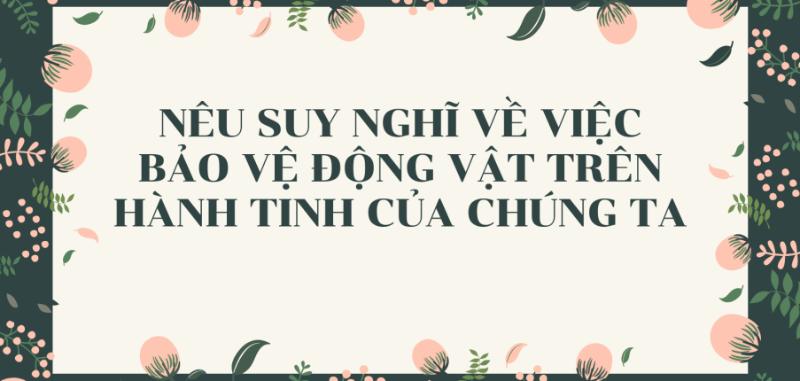 TOP 10 mẫu Nêu suy nghĩ về việc bảo vệ động vật trên hành tinh của chúng ta (2024) SIÊU HAY